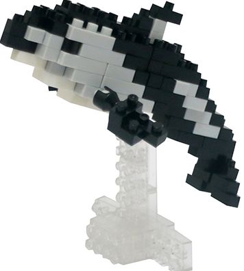 NB - PACIFIC WHITE-SIDED DOLPHIN
