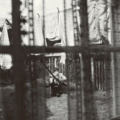 Chaos & Creation In The Backyard (Paul Mccartney)