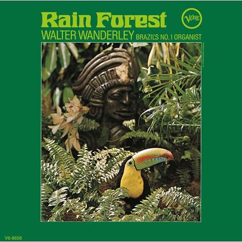 Rain Forest