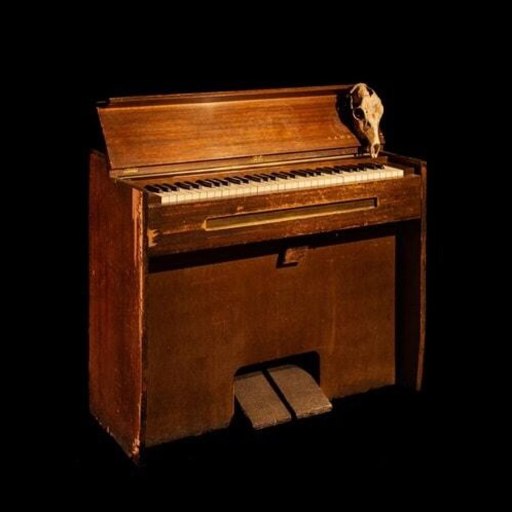 Play Variations (Takaramahaya)
