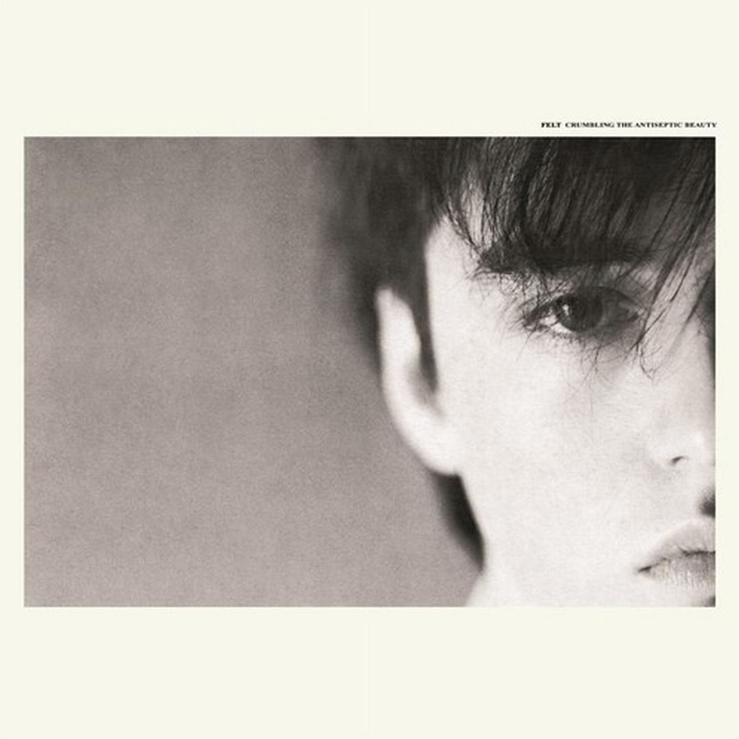 Crumbling The Antiseptic Beauty [Deluxe Remastered Gatefold Sleeve Vinyl Edition]