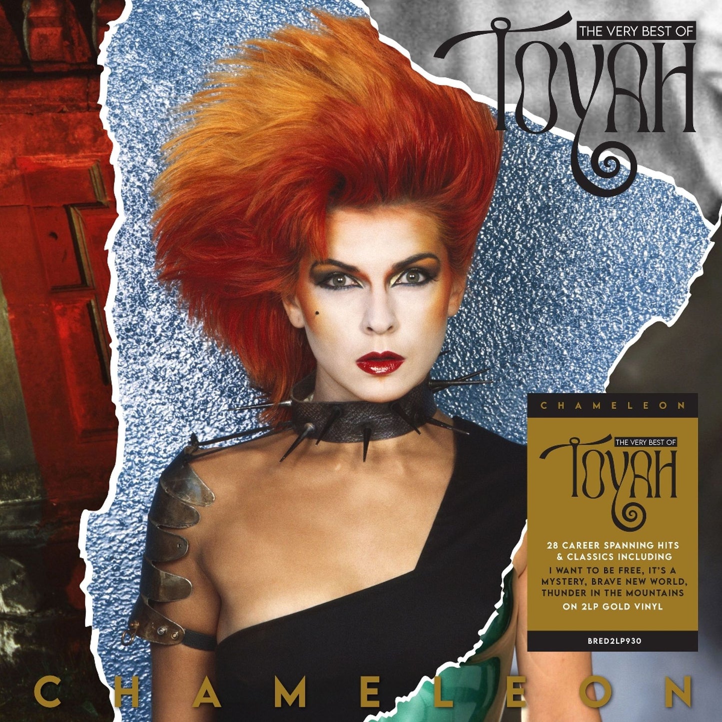 Chameleon: The Very Best Of Toyah (Toyah)