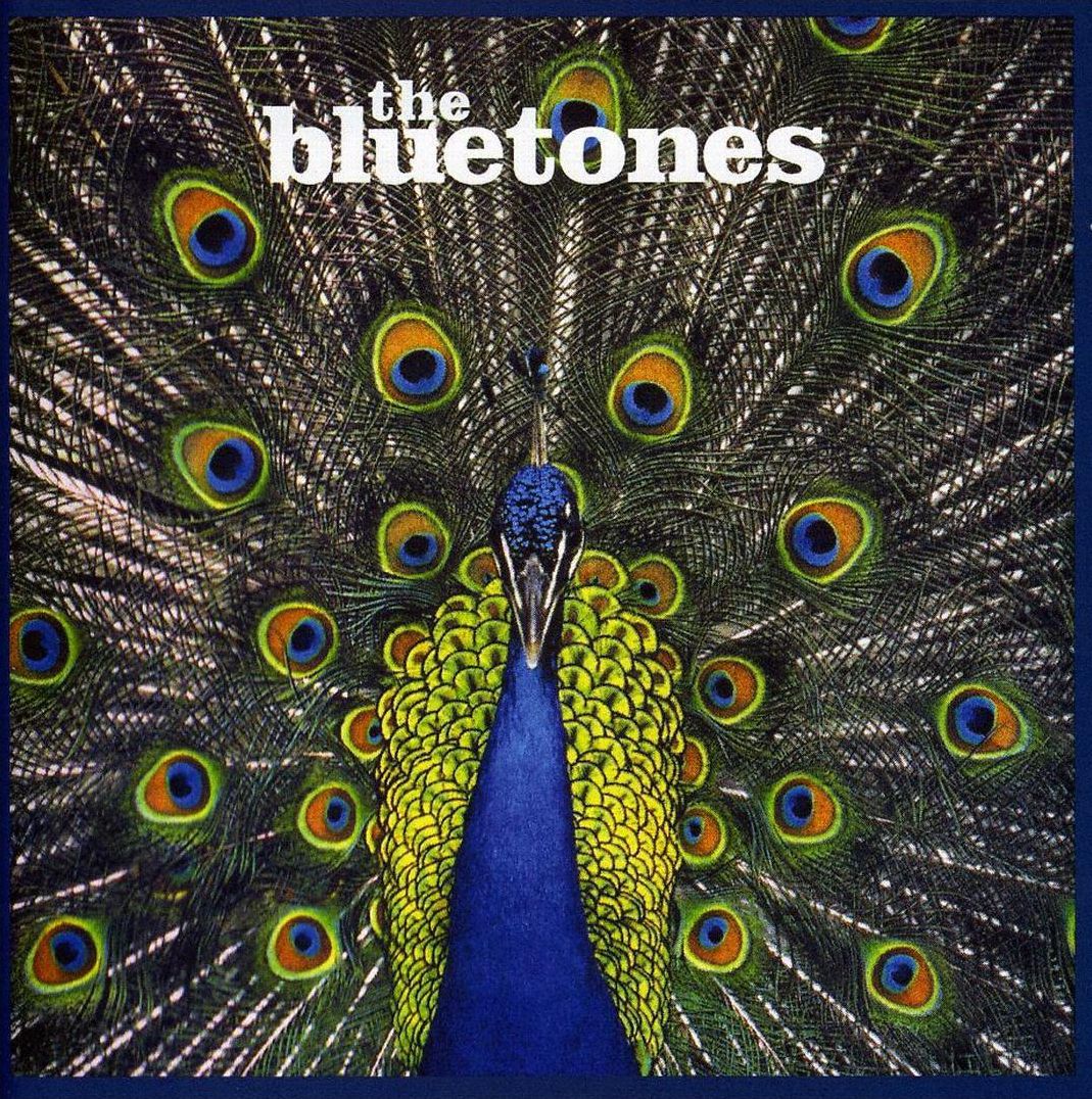 Expecting To Fly [20Th Anniversary Edition] [Lp]