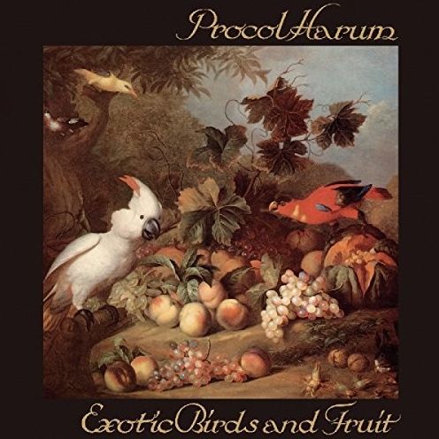 Exotic Birds And Fruit