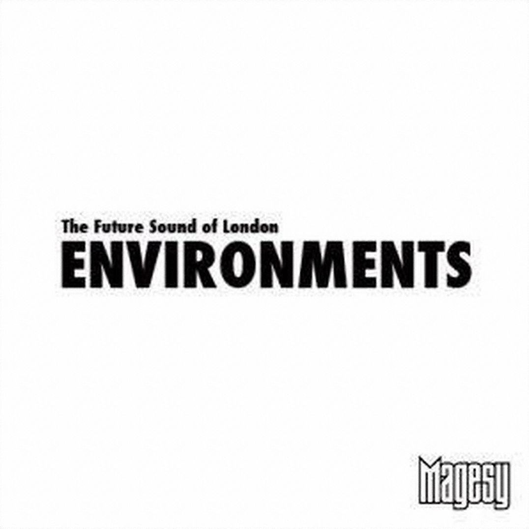 Environments, Vol. 1 [Lp]