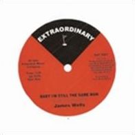 Baby I'm Still The Same Man (James Wells)