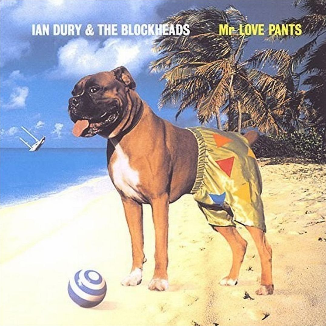Mr Love Pants
