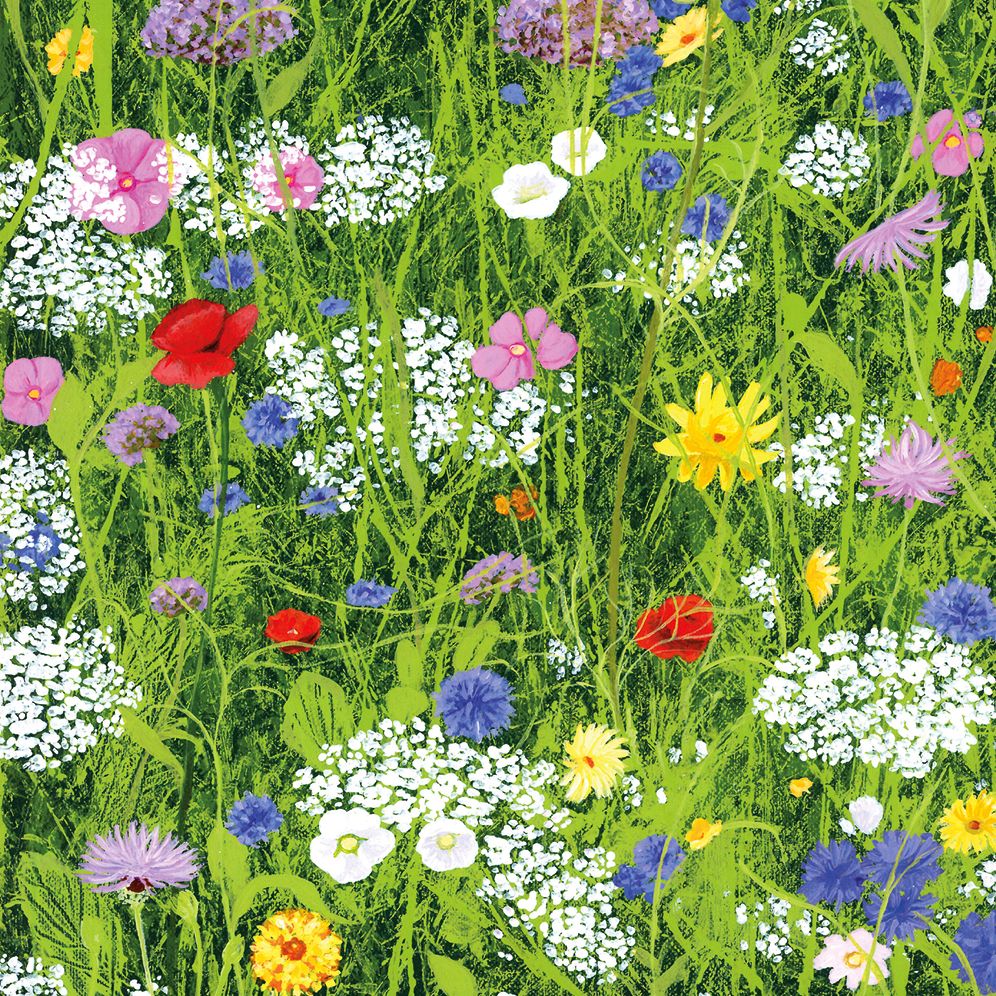 Wild Flowers Notecard Wallet