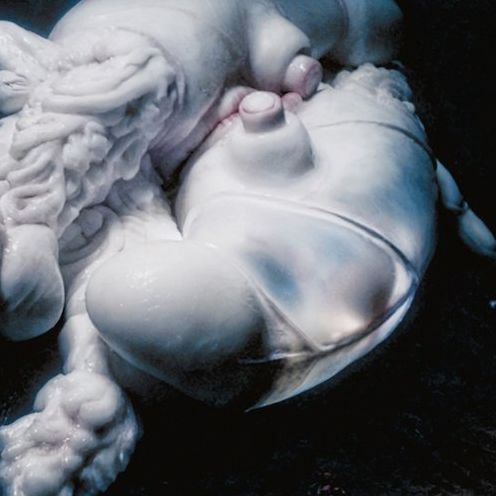 Arisen My Senses (Bjork)