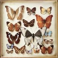Rarities (Emiliana Torrini)