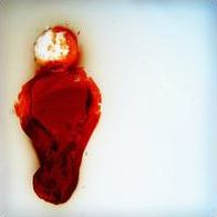 Better Than This (Stubborn Heart)