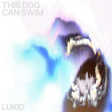 This Dog Can Swim