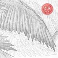 Angels & Devils (Dlcd)