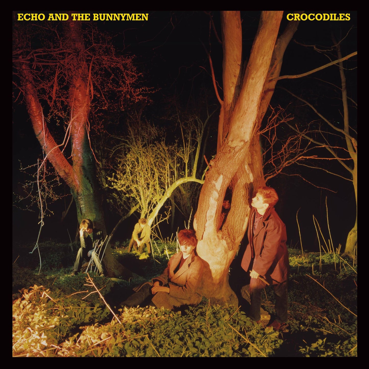 Crocodiles (Echo & Bunnymen)