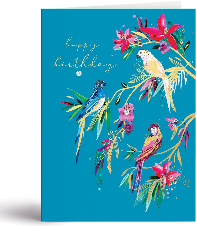 BDAY Birthday Parrots