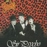 Sir Psycho