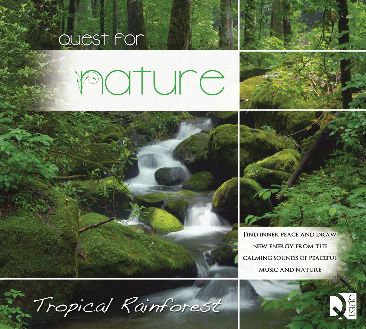 Quest For Nature: Tropical Rainforest