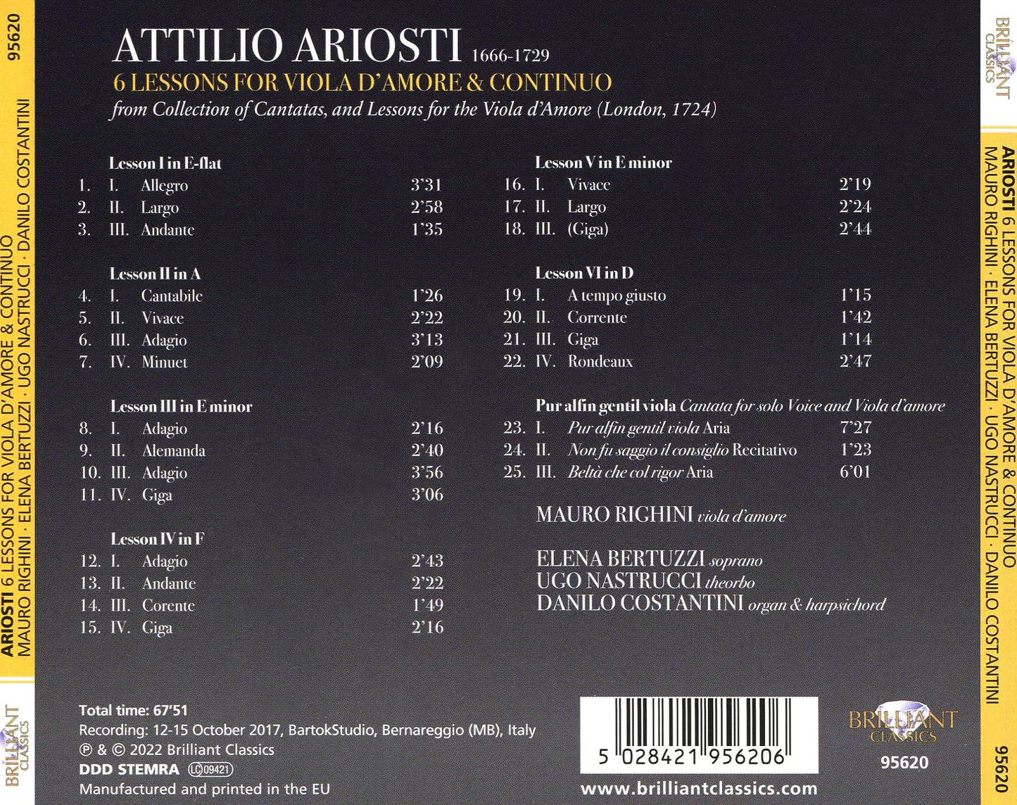 6 Lessons For Viola D'amore