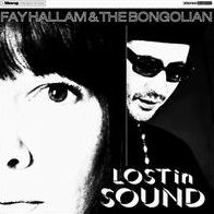 Lost In Sound (Fay Hallam)