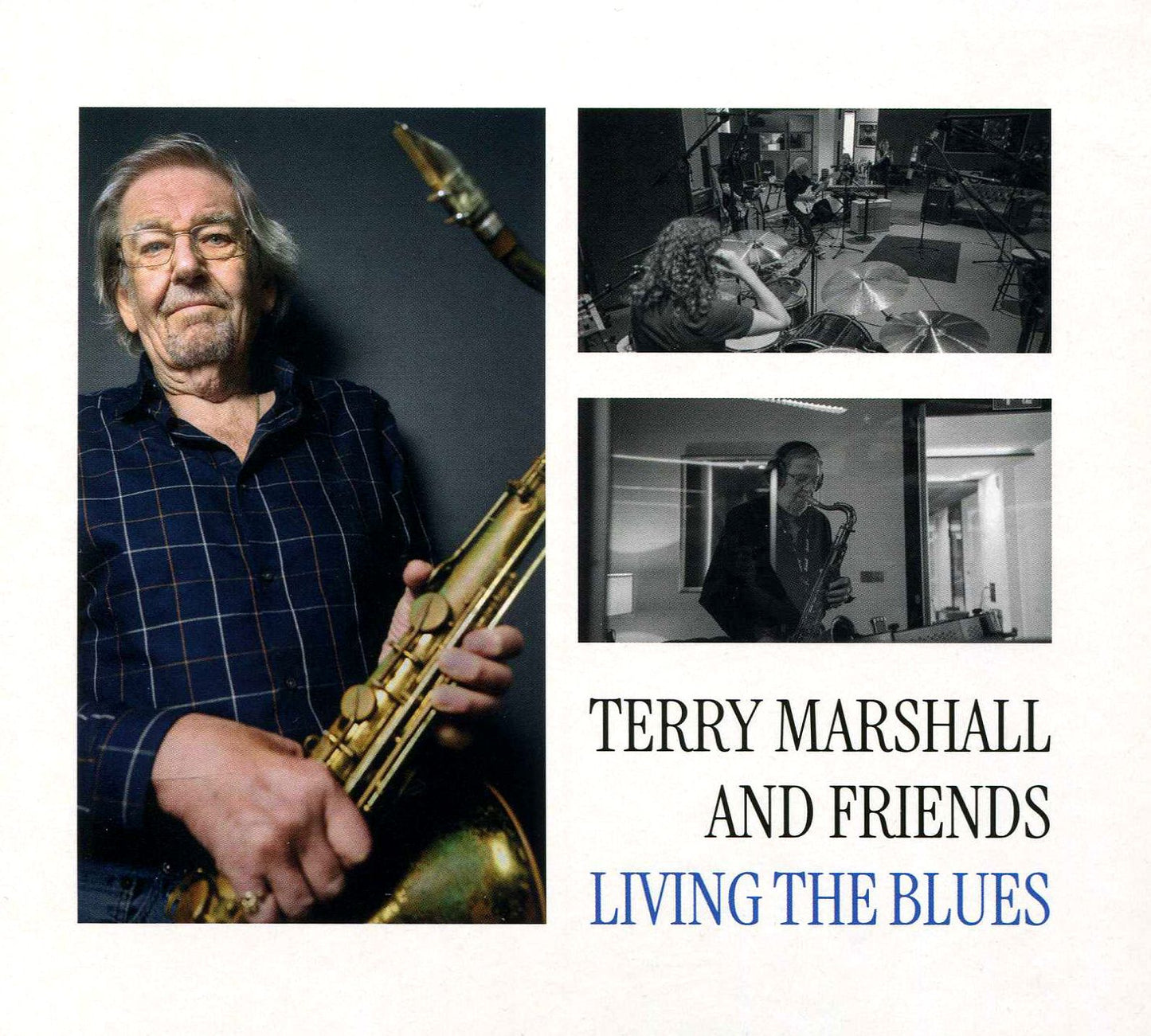 Living The Blues (Terry Marshall & Friends)