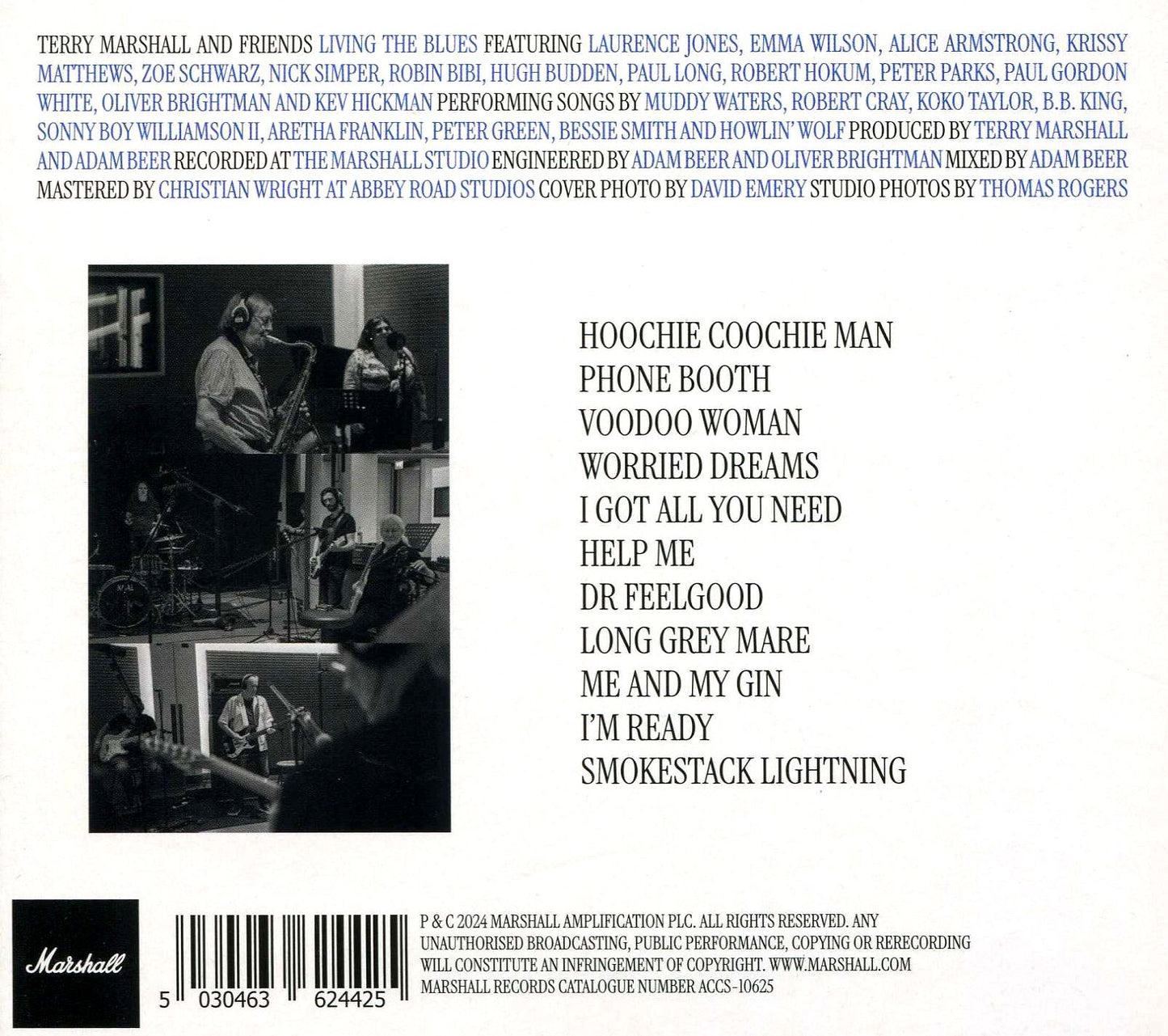 Living The Blues (Terry Marshall & Friends)