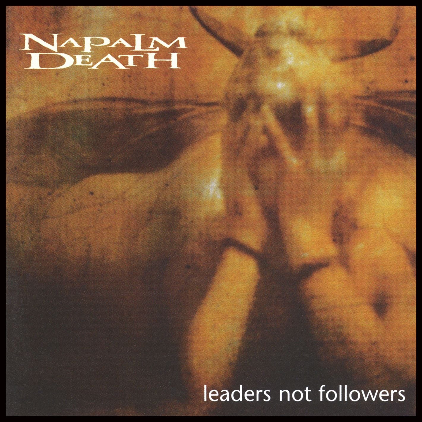 Leaders Not Followers