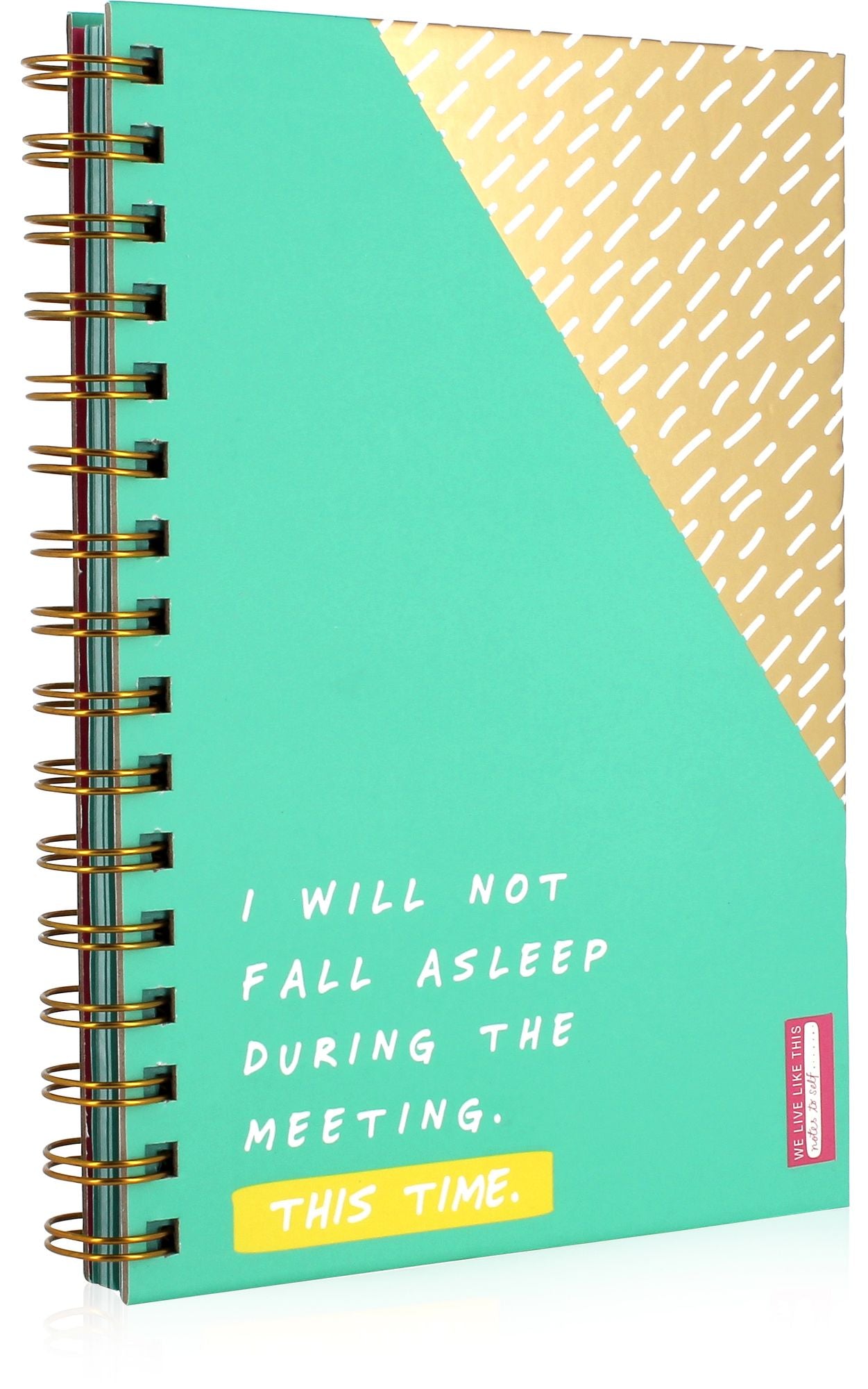 Notes To Self - 'I Will Not Fall Asleep' Notebook