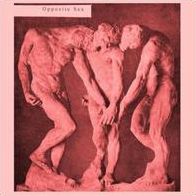 Opposite Sex