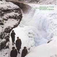Porcupine (Echo & The Bunnymen)