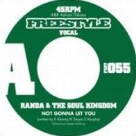Not Gonna Let You (Randa & Soul Kingdom)