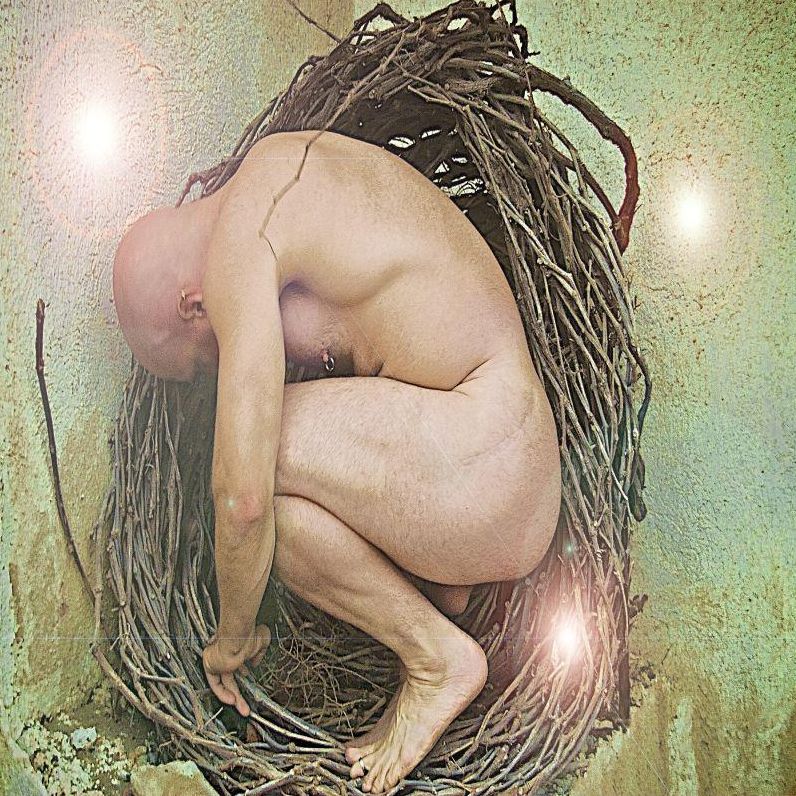 Rebirth