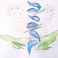 Iterations (Fis)