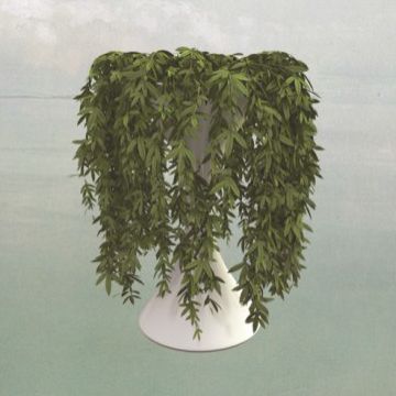 Lease Of Life