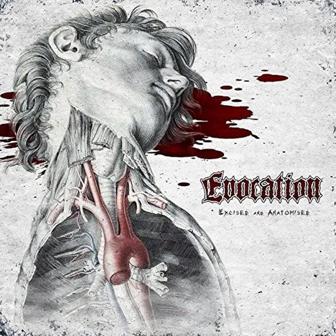 Excised And Anatomised