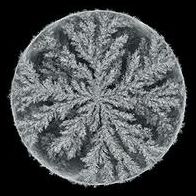 Emergence [Remixed]