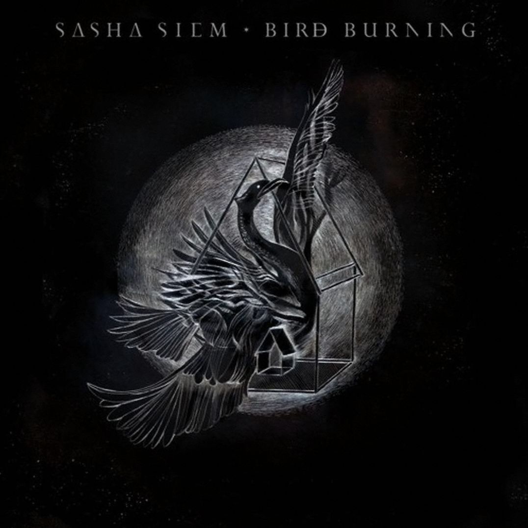 Bird Burning