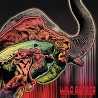 Wild Beasts