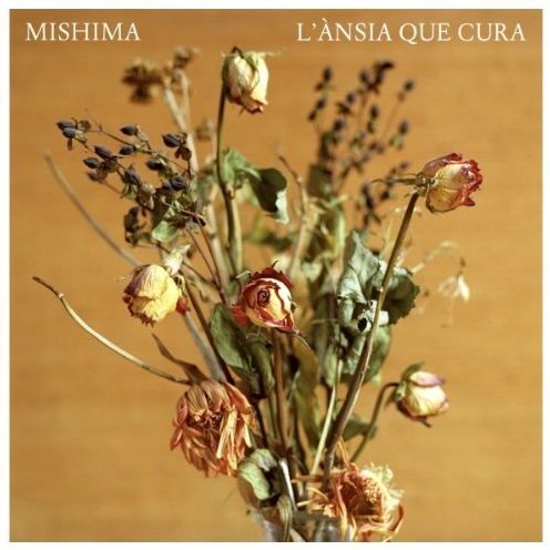 L' ÀNsia Que Cura