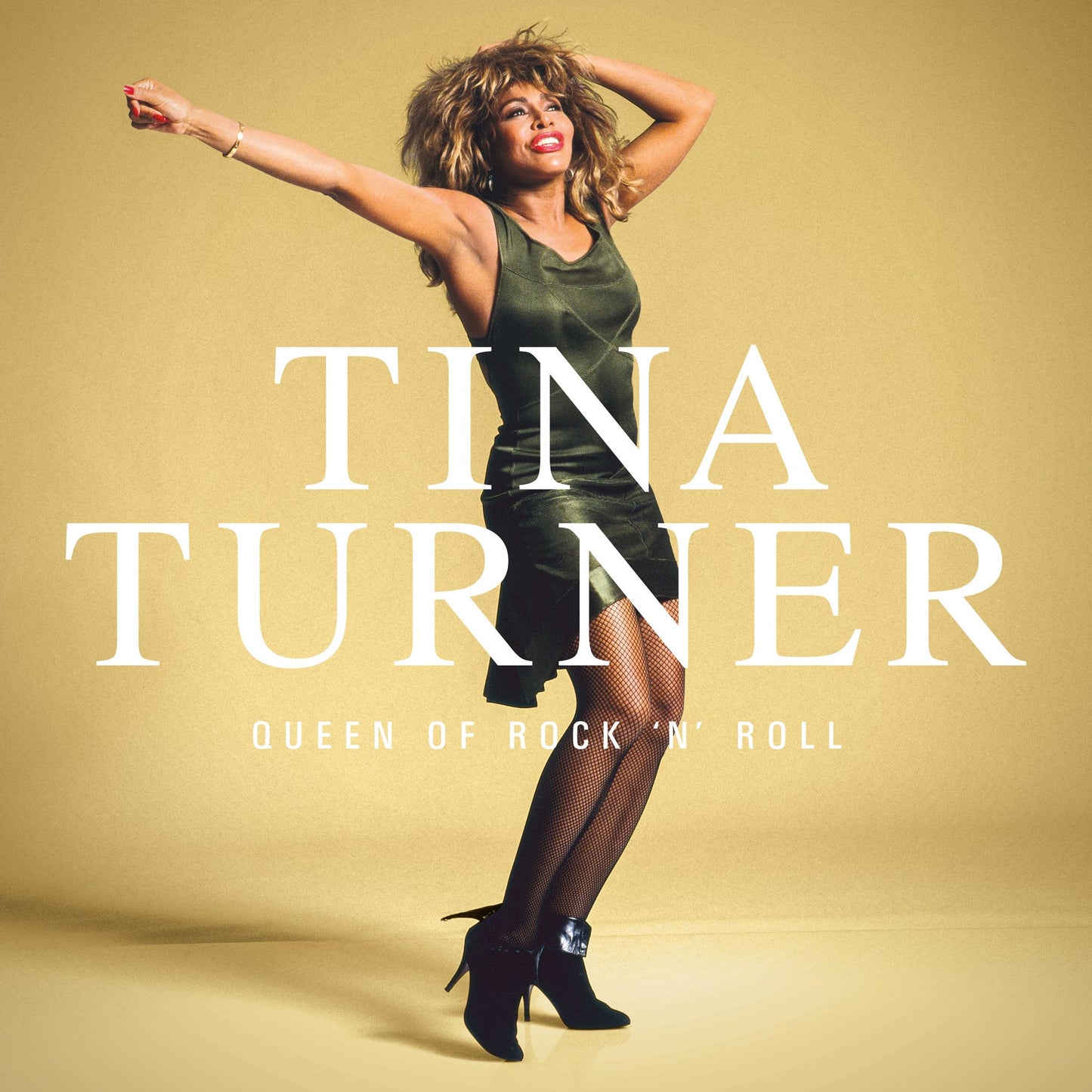Queen Of Rock N Roll (Tina Turner)