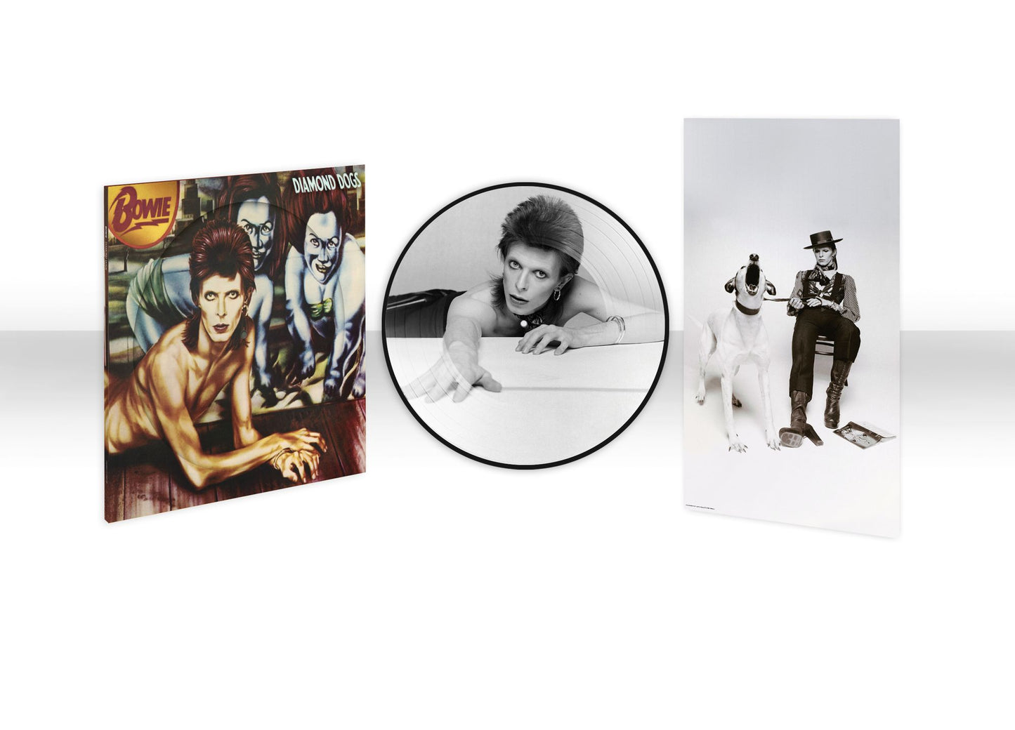 Diamond Dogs (50Th Anniversary Picture Disc) (David Bowie)