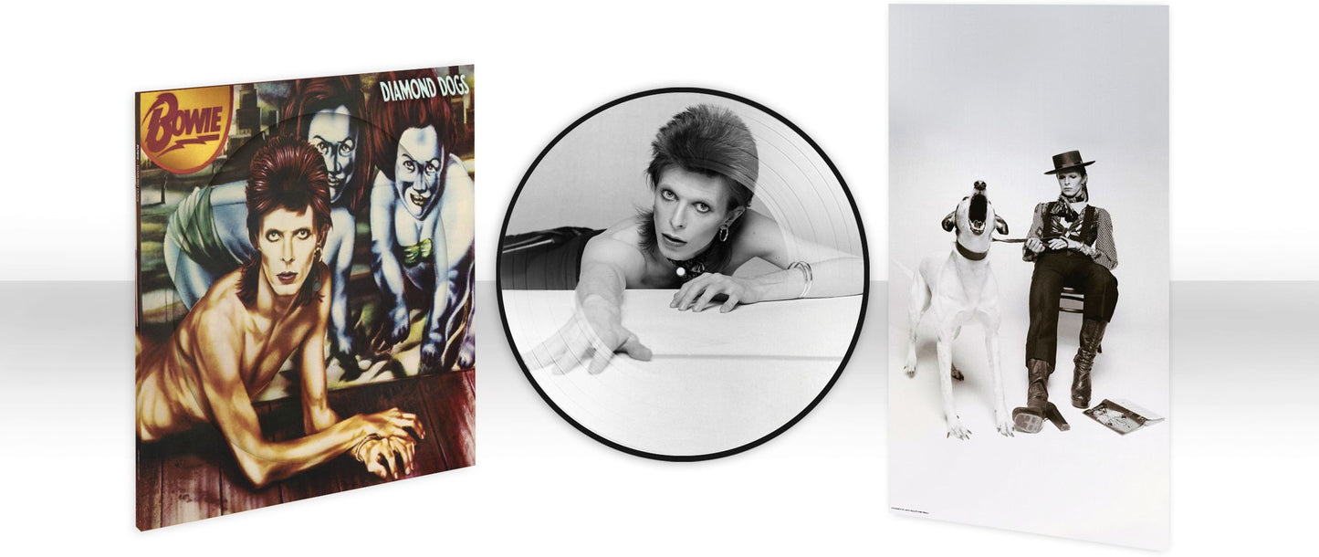 Diamond Dogs (50Th Anniversary Picture Disc) (David Bowie)