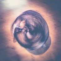 Circles