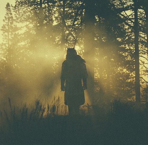 Where The Giants Roam