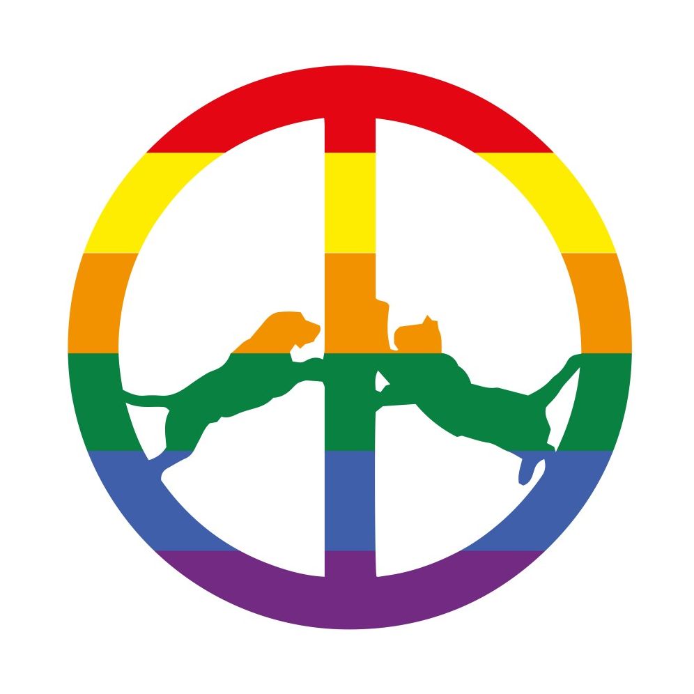Rainbow Edition [Lp]