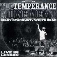 Ziggy Stardust/white Bear