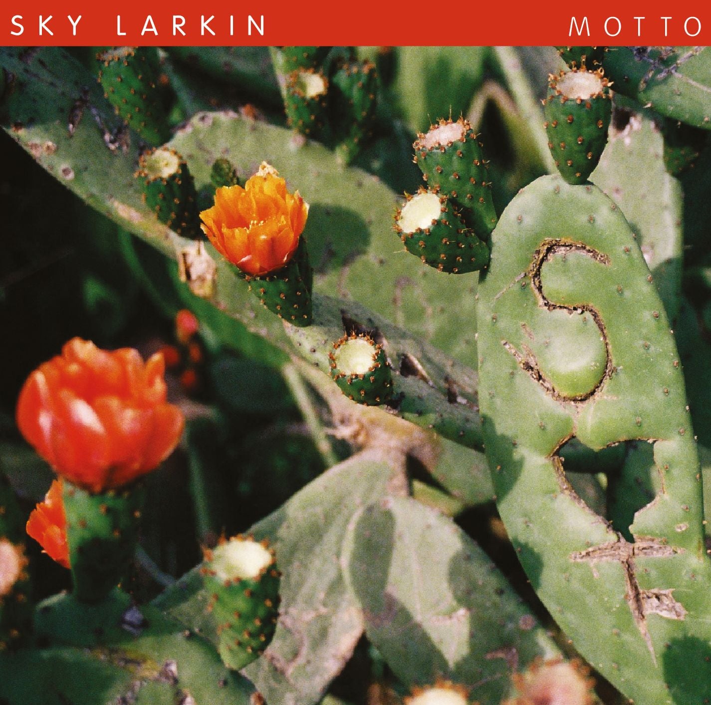 Motto [Lp/cd]