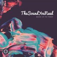 Sound You Need