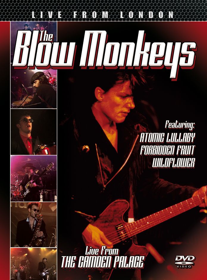 The Blow Monkeys: Live from London