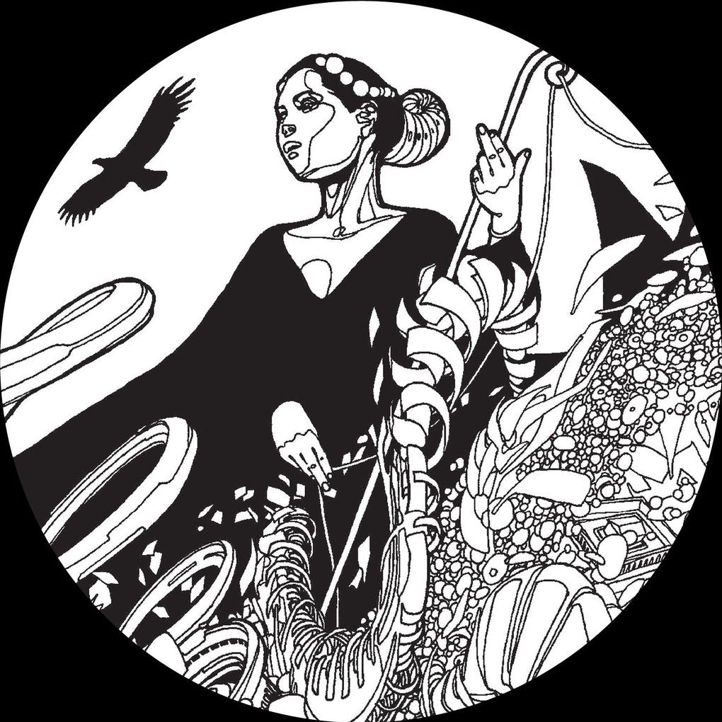 Cosmosis 1