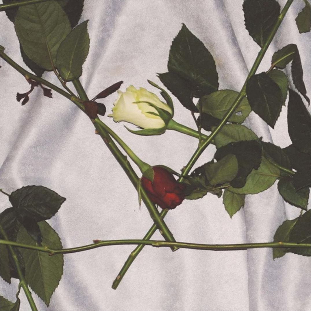 Chain Of Flowers [Lp]
